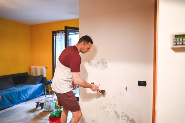 Best Preventive Mold Services in New Paris, OH